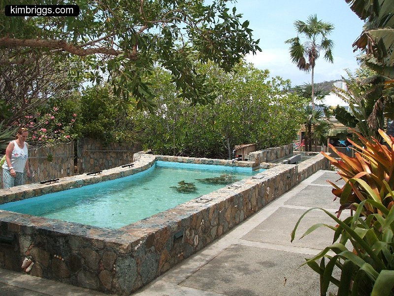 20 coral world st thomas