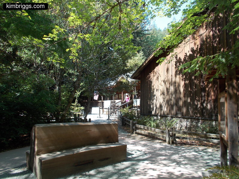 Wooden visitors building in the forest.