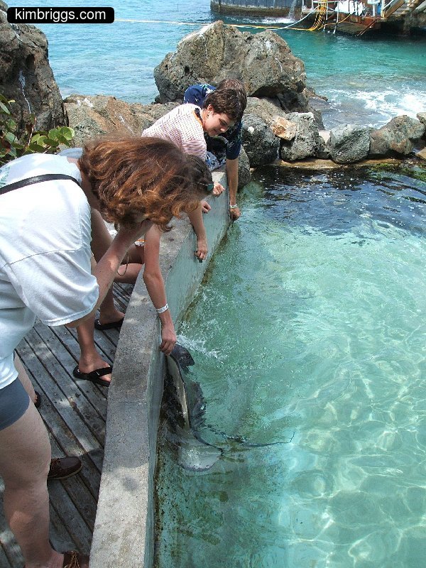 26 coral world st thomas