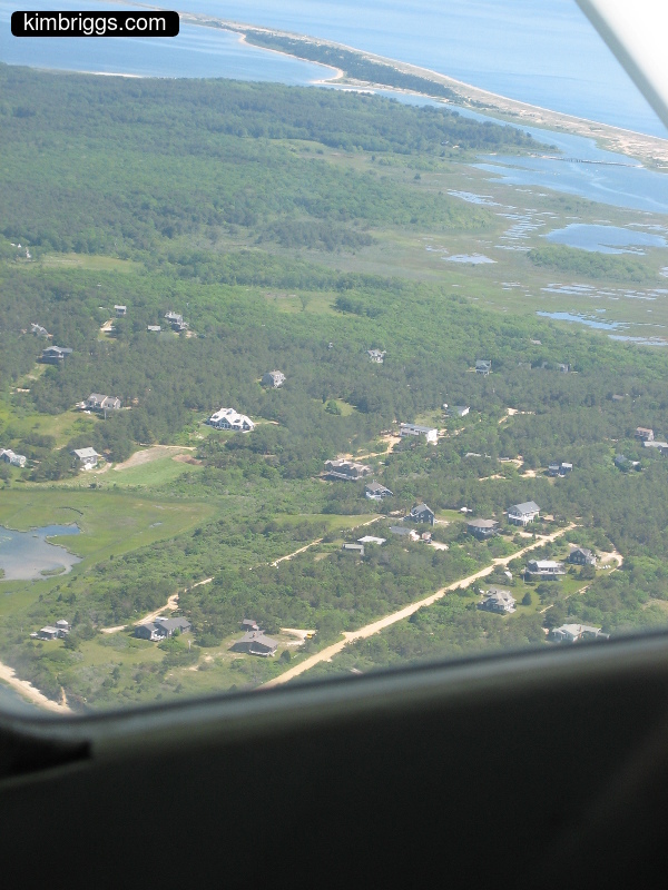 Aerial view of island trees and houses.