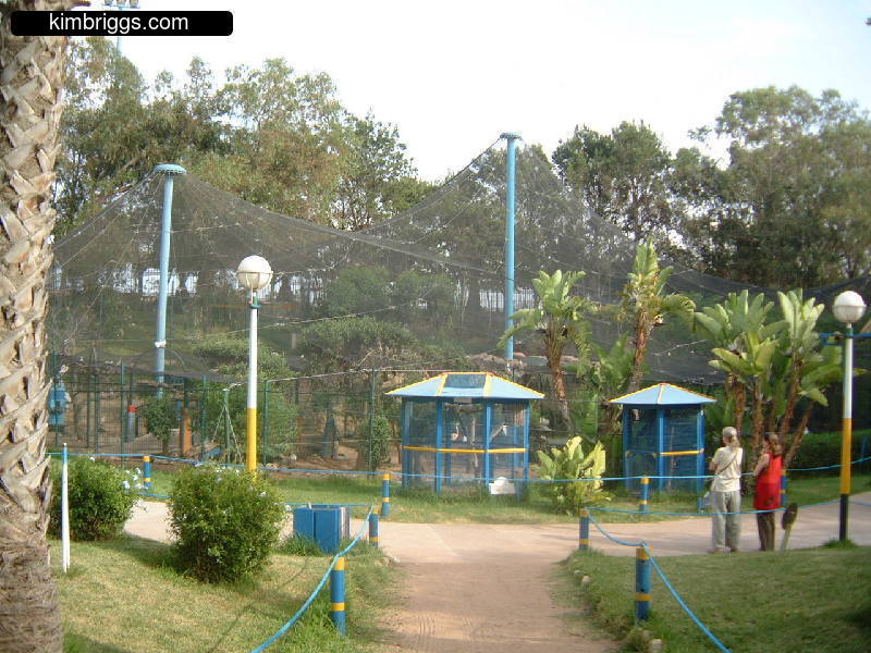 Open air cages at Agadir zoo.