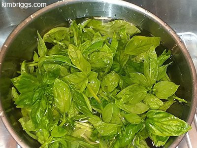 basil