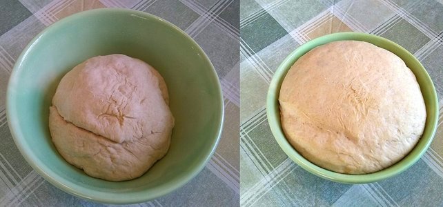 bread dough rise