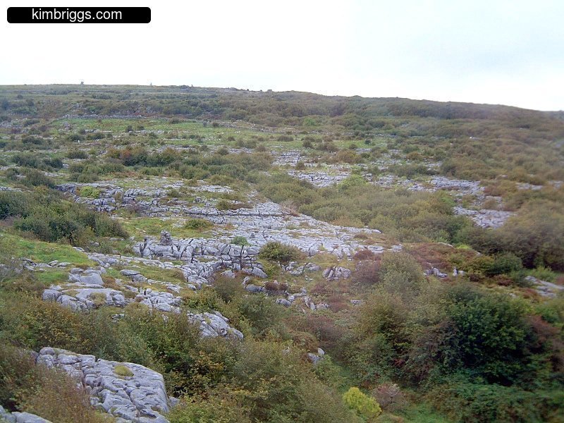 Tree-less landscape of the Burren.