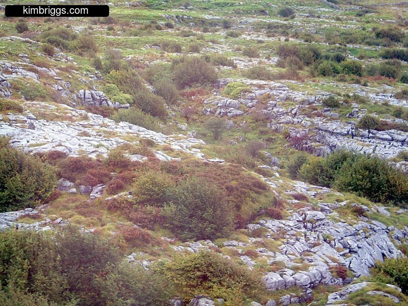The Burren showing limestone surface.