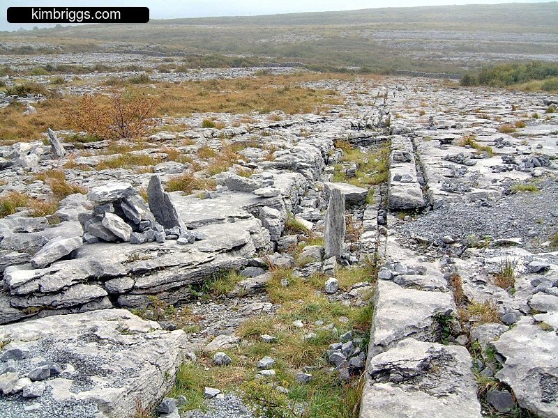 Lines in limestone of The Burren in Ireland.