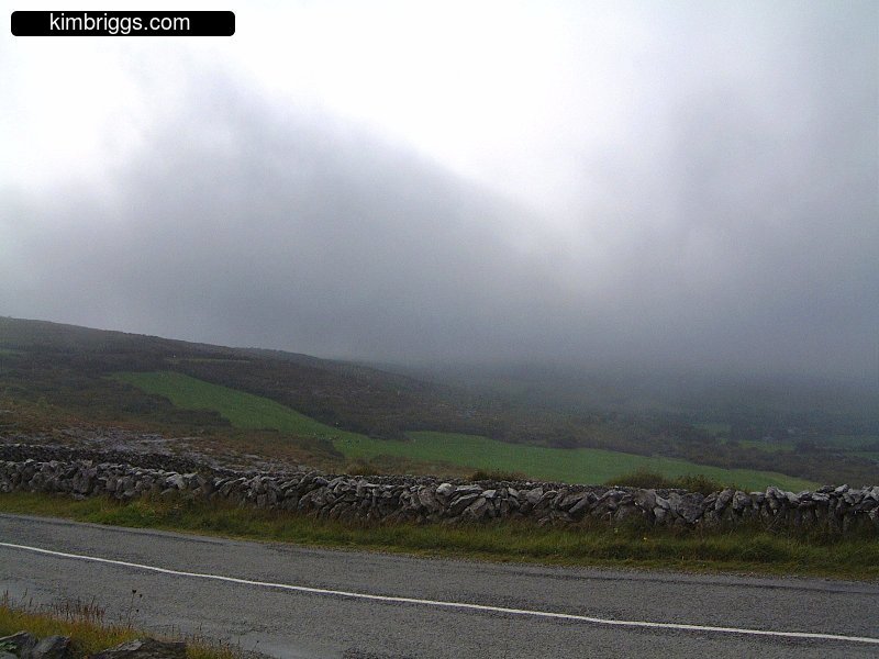 Ireland green field covered in fog.