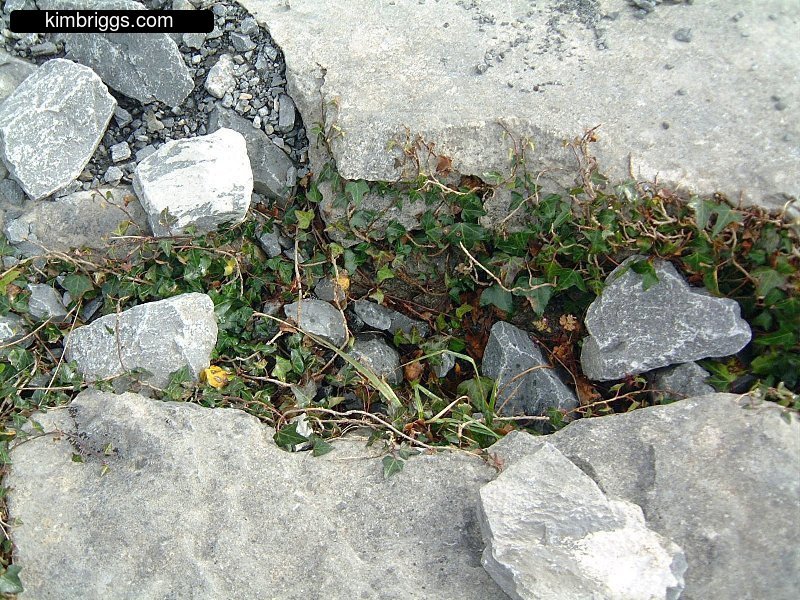 Broken limestone rocks.