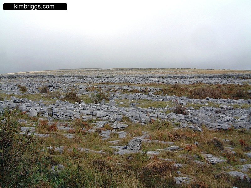 Tree-less limestone landscape in Ireland.