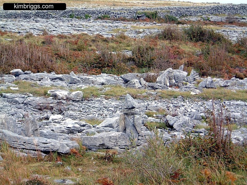 Limestone rocks in dormant grass.