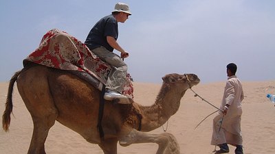camel morocco 400