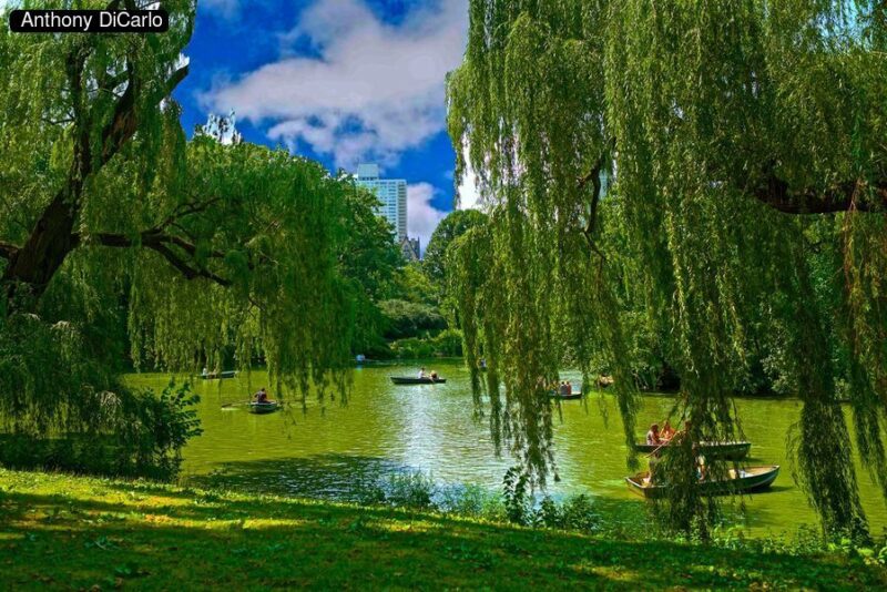 central park nyc 03