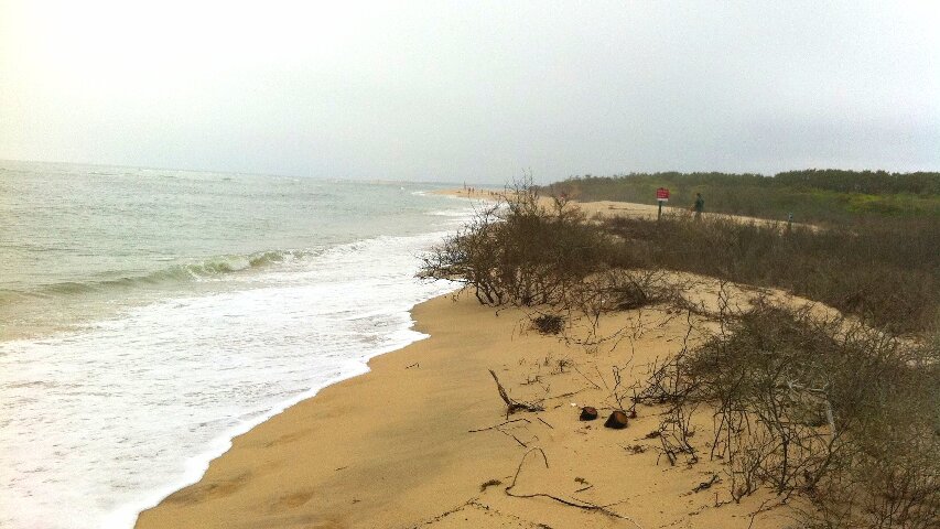 chappaquiddick wasque beach 850