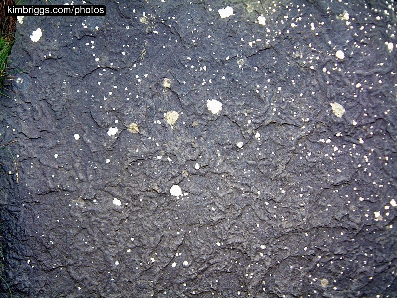 Rough black rock with white dots.