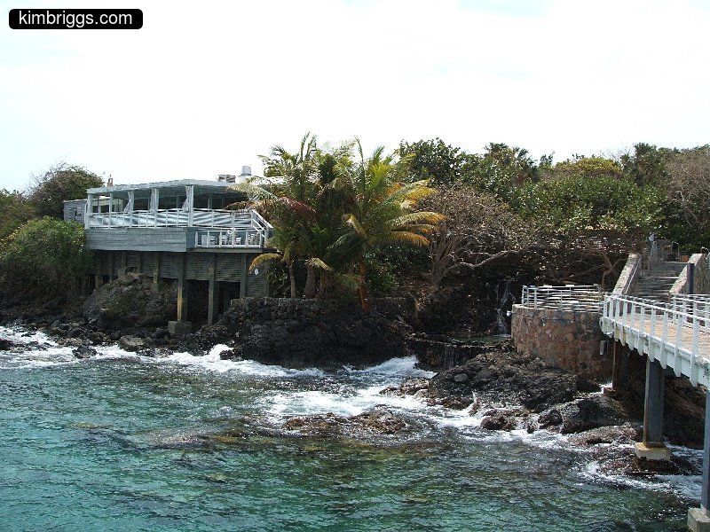 coral world reef observatory 012