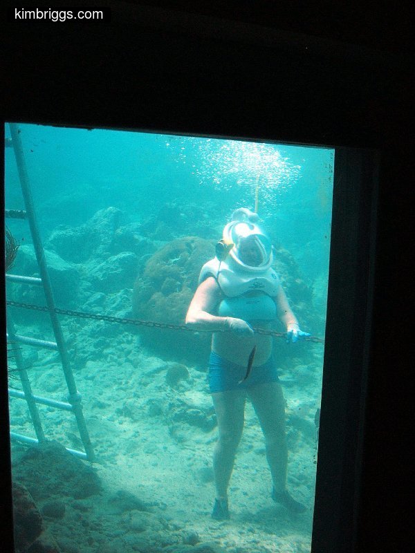 coral world sea trek 001