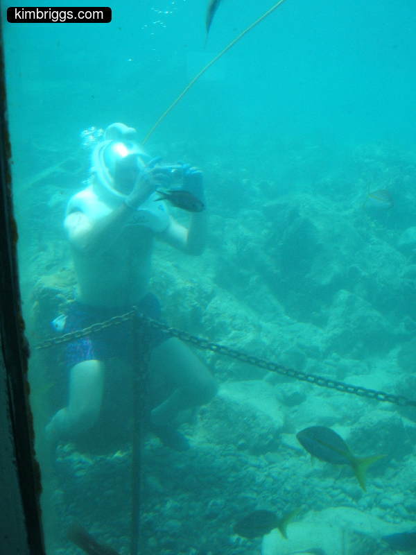 coral world sea trek 002