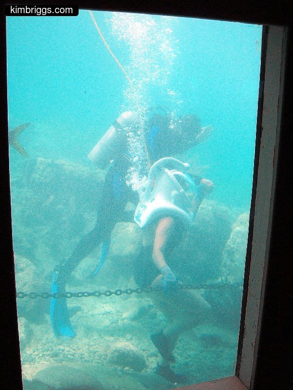 coral world sea trek 003