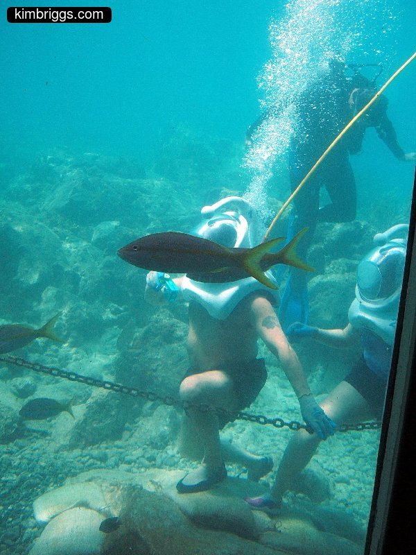 coral world sea trek 004