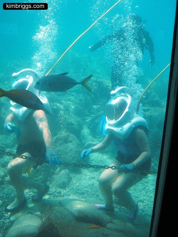 coral world sea trek 005
