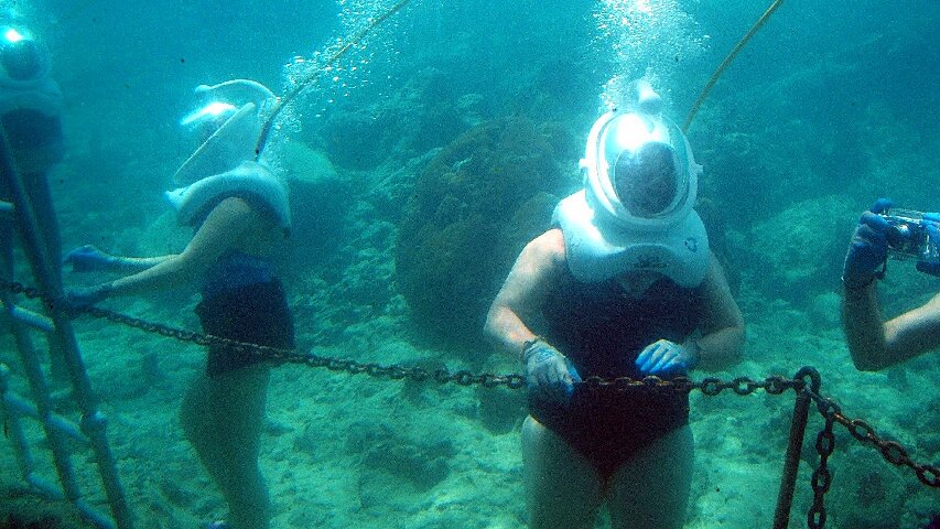 coral world sea trek usvi 850