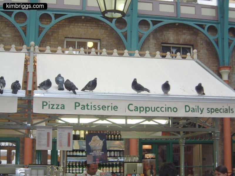 Small roof with pigeons on it.