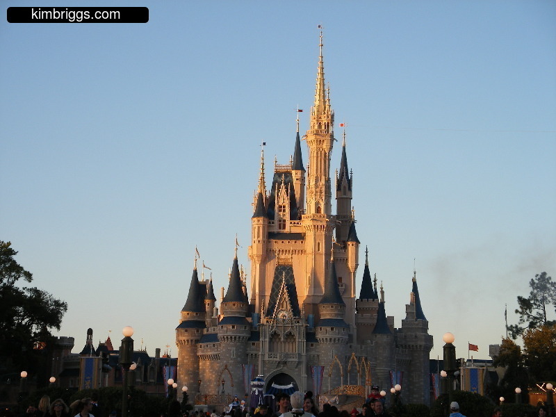 Cinderella's Castle in the Magic Kingdom.