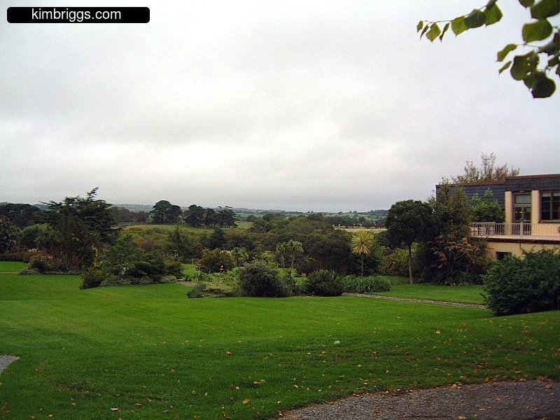 Green Irish fields on cloudy day.