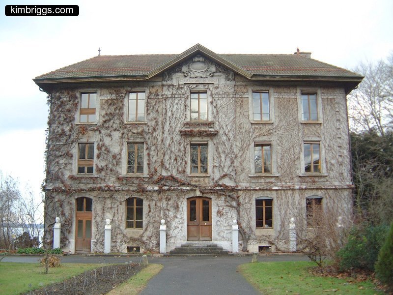 Grey cement building covered in vines.