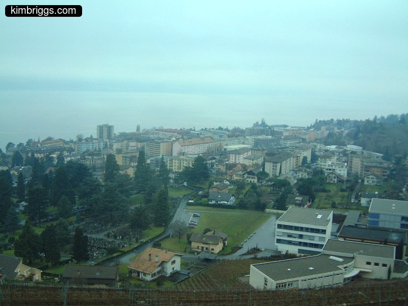 View of Swiss town from a hill.