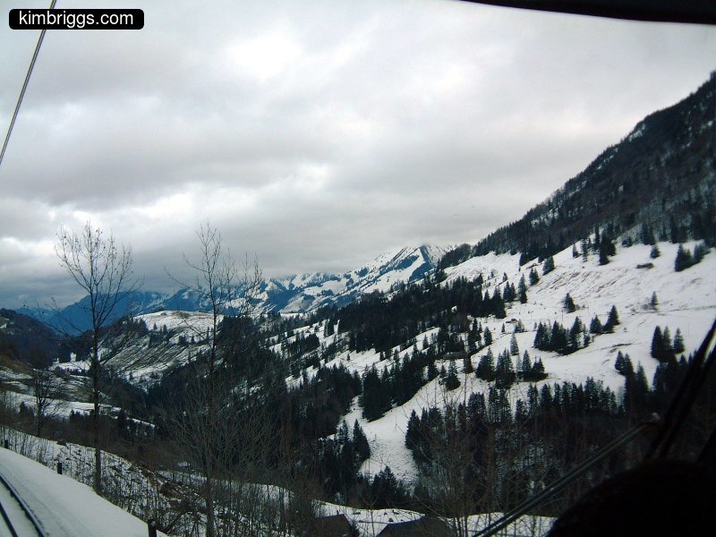 Hills with evergreen trees and snow on cloudy day.