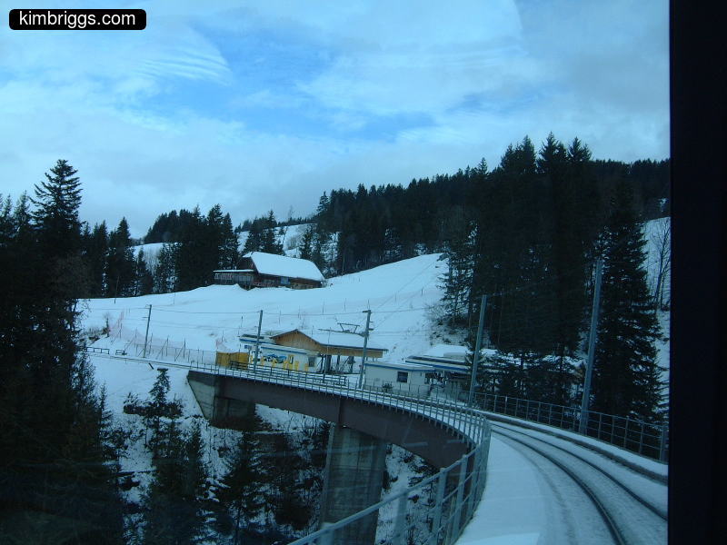 Elevated train track and snowy hillside.