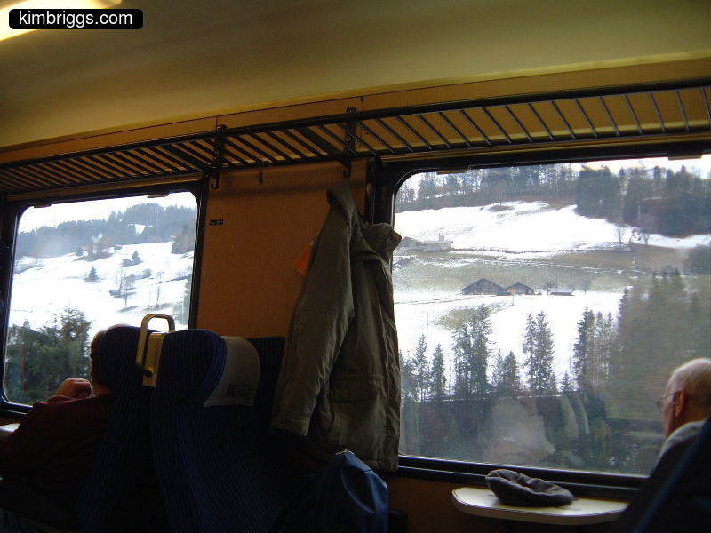 Looking out a train in Switzerland.