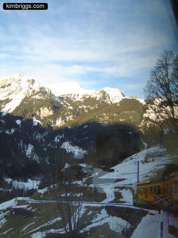 View from Jungfraujoch cog train.