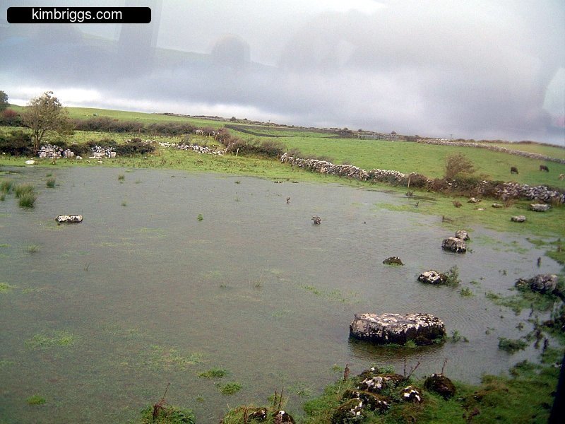 Pond in Irish countryside.