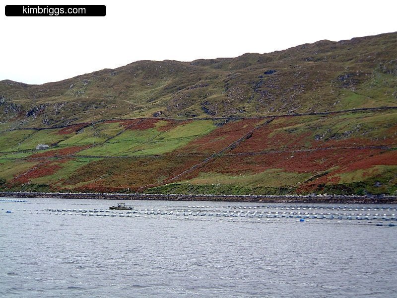 A treeless hill on Killary Fjord.