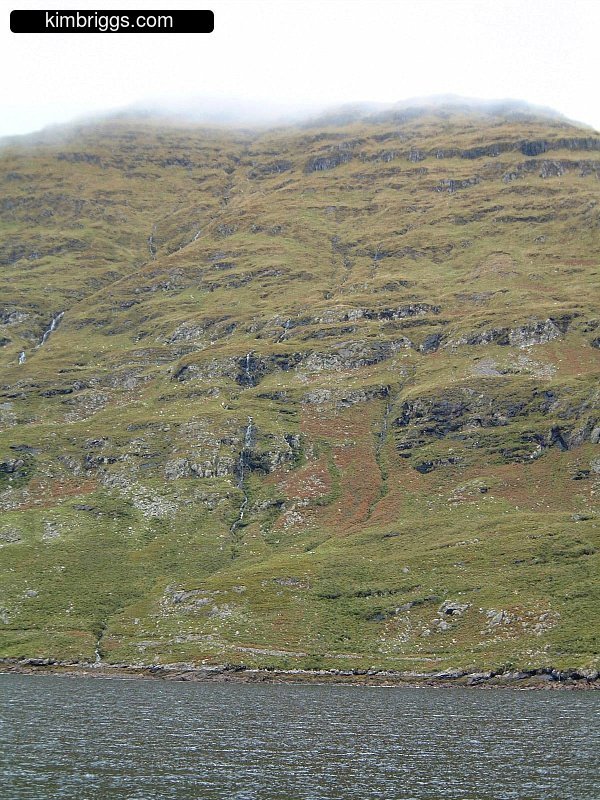 Moss covered hill with fog covering the top.