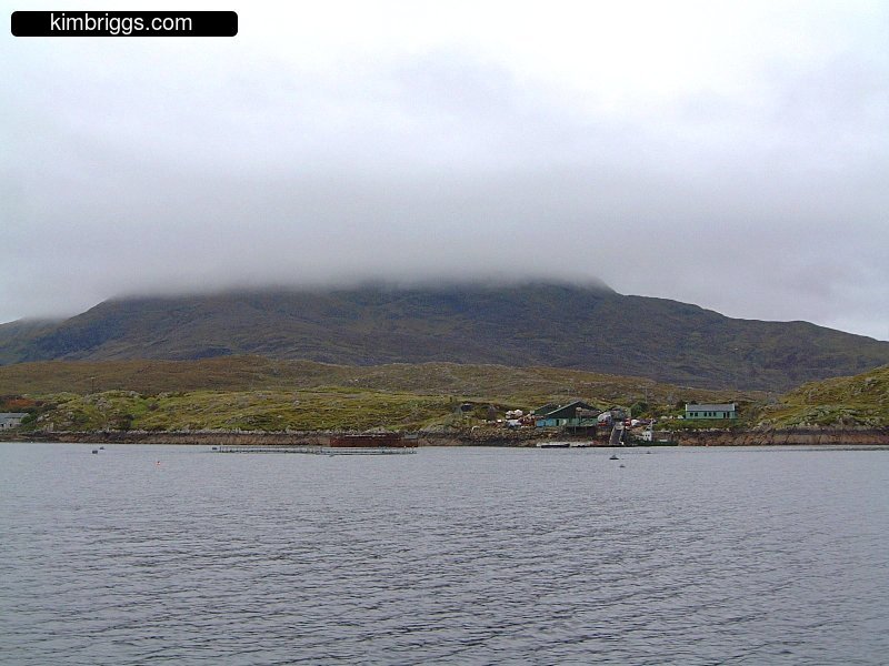 Some buildings on the shore of Killary Fjord.