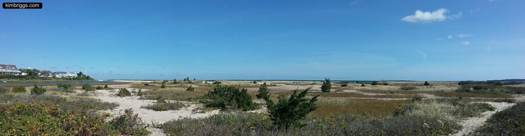 lighthouse beach marthas vineyard