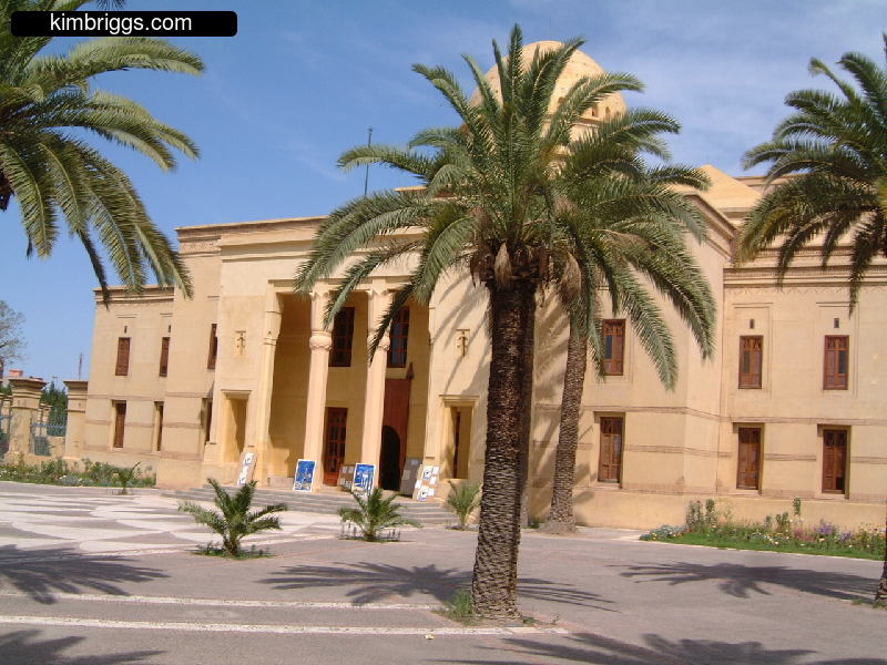 Yellow cement building with palms in front.