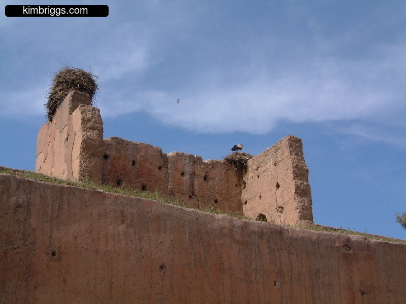 Large bird nest on pink stone walls.