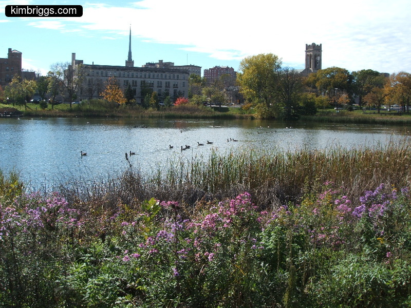 minneapolis loring park 004