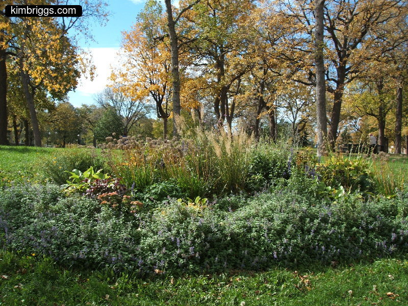 minneapolis loring park 010