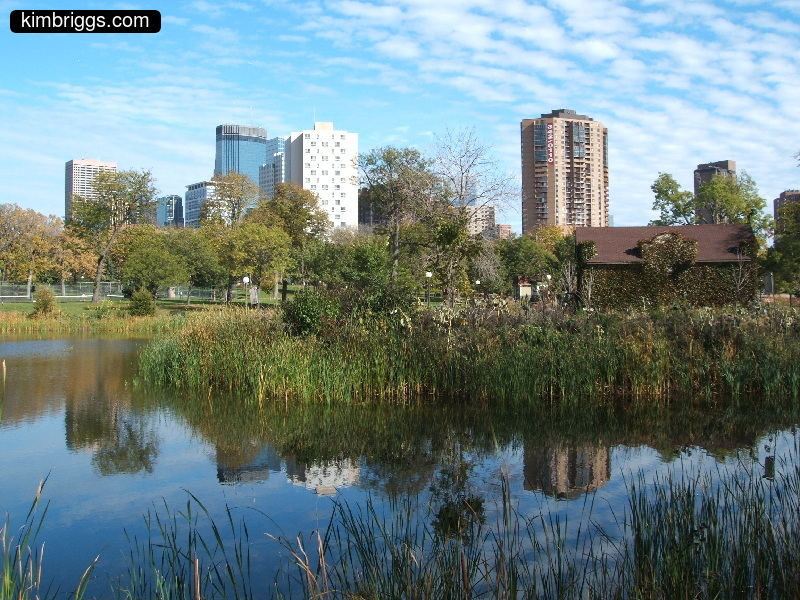 minneapolis loring park 011