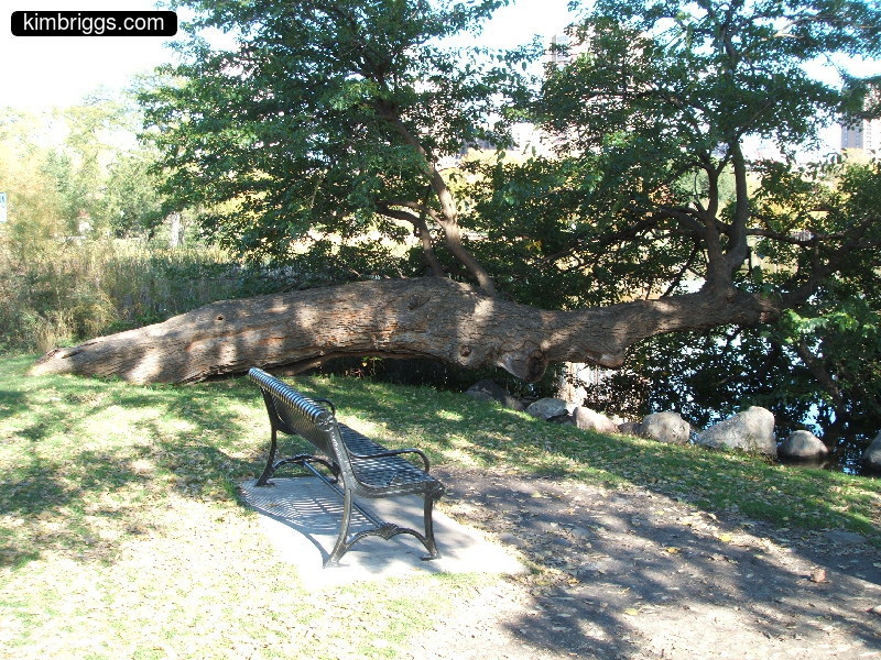 minneapolis loring park 012