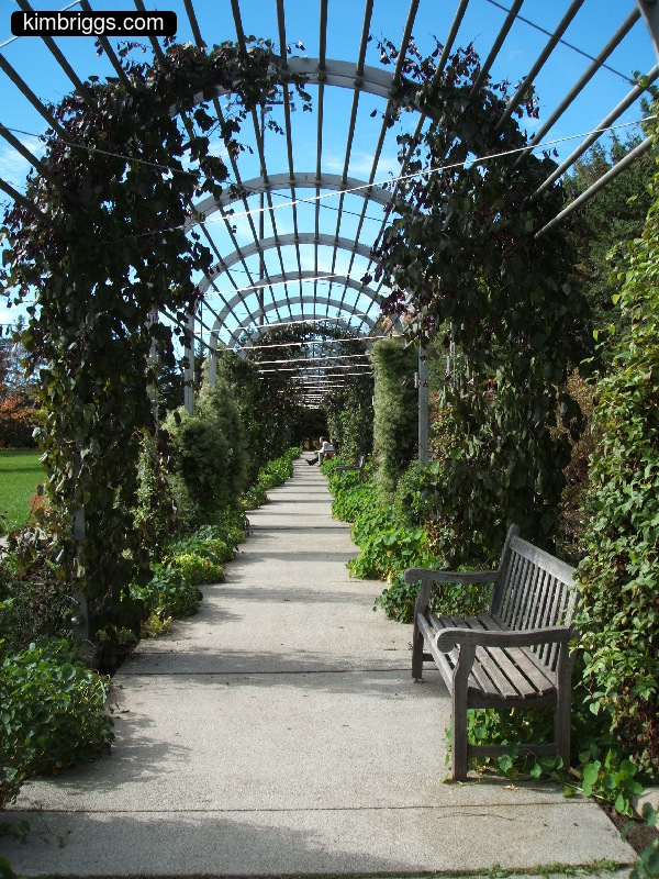 minneapolis sculpture garden 019