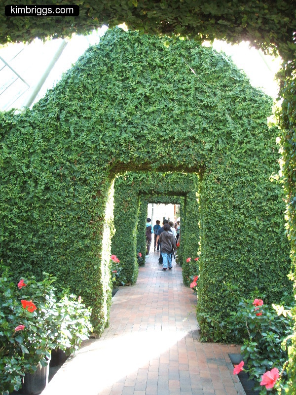 minneapolis sculpture garden 020