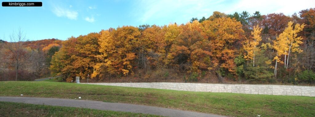 minnesota landscape