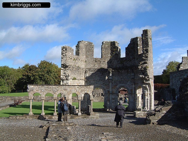 Mellifont Abbey ruins.