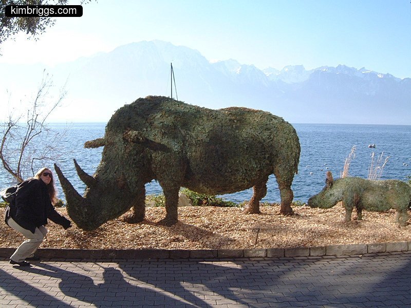 Rhino sculpture made of plants.